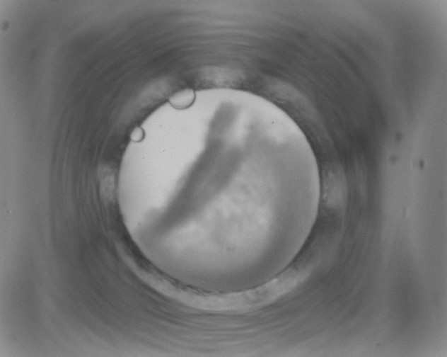 X0000082730036200702232358