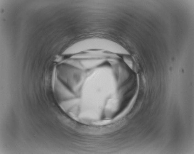 X0000082730037200702232358