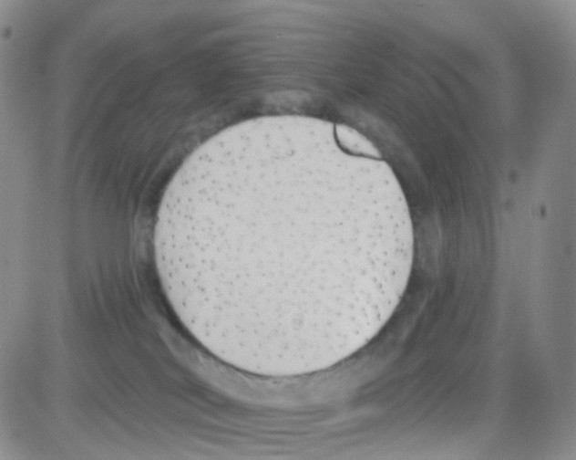 X0000082730038200702232358