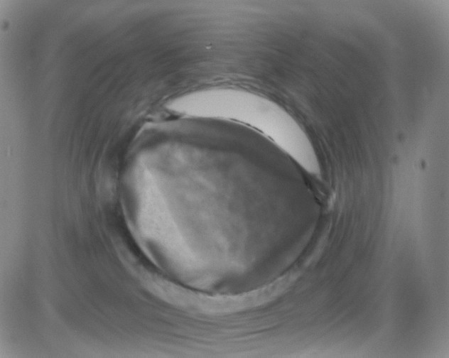 X0000082730039200702232358