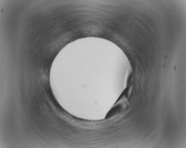 X0000082730040200702232358