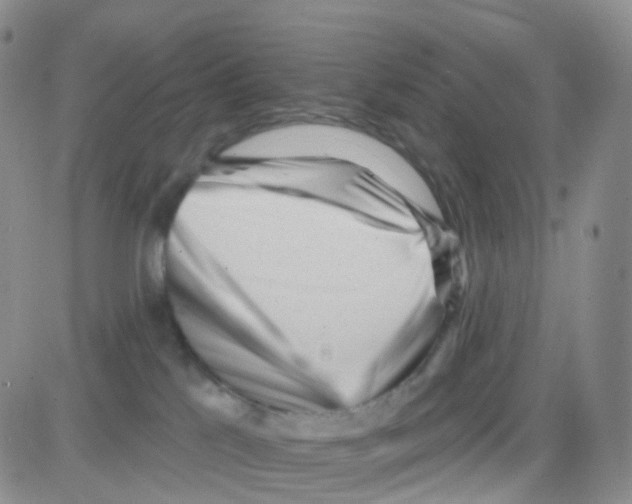 X0000082730041200702232358