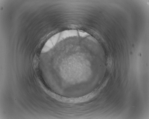 X0000082730043200702232358