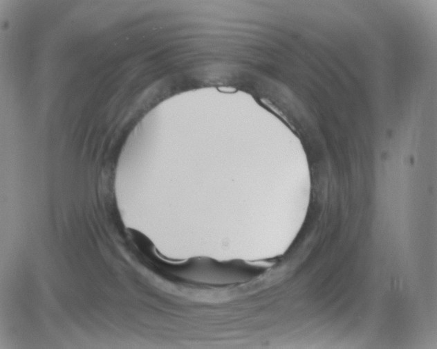 X0000082730044200702232358