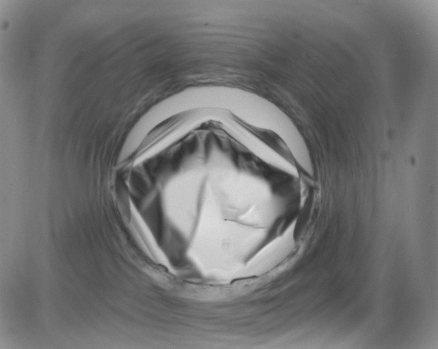 X0000082730045200702232358