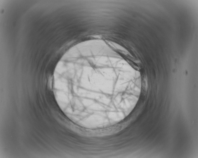 X0000082730046200702232358