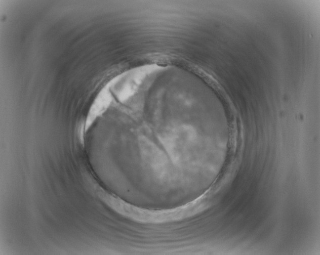 X0000082730047200702232358