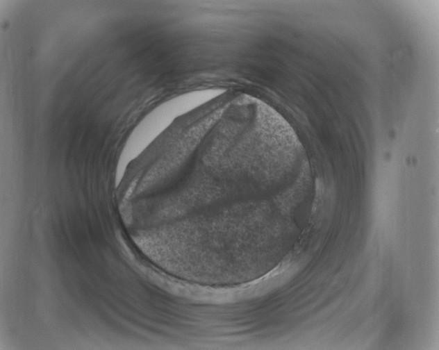 X0000082730048200702232358