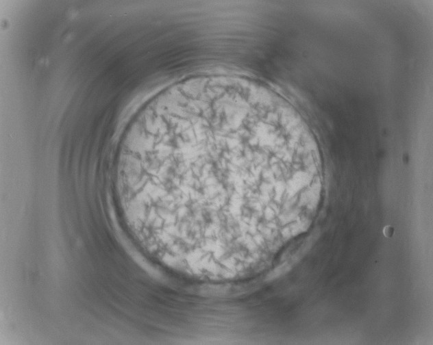 X0000082730049200702232357