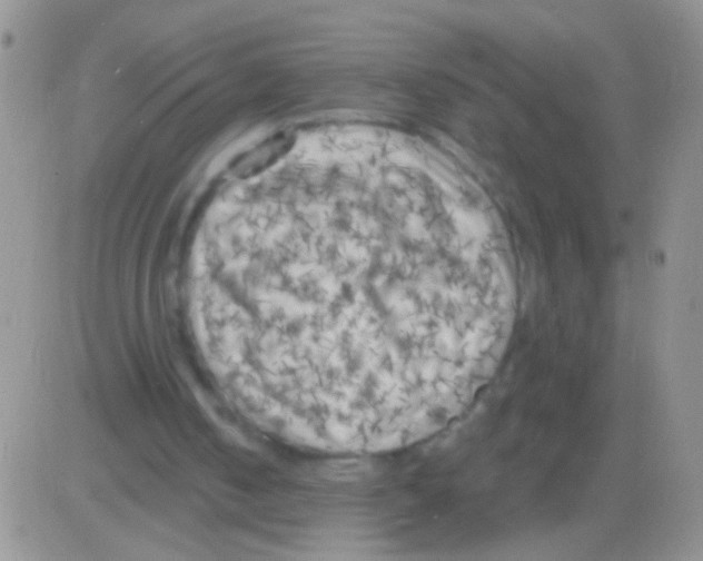 X0000082730050200702232357