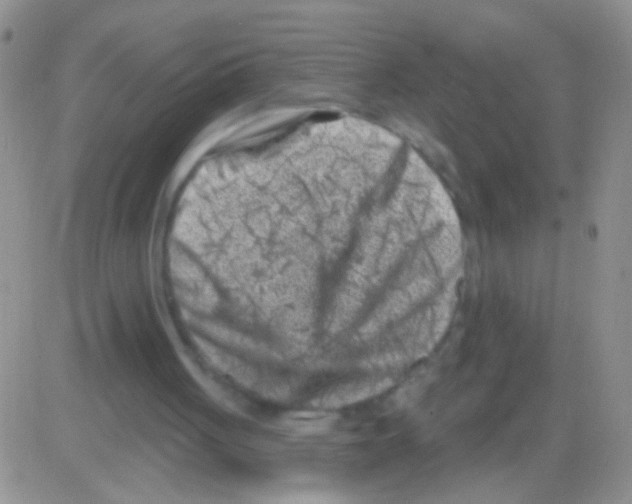 X0000082730051200702232357