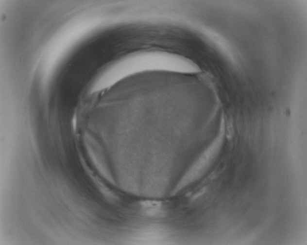 X0000082730052200702232357