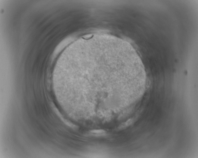 X0000082730053200702232357