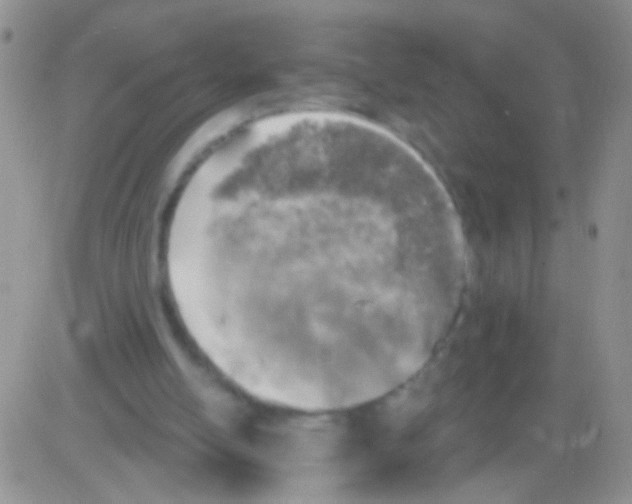 X0000082730054200702232357