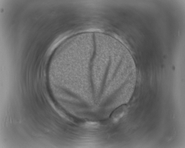 X0000082730055200702232357