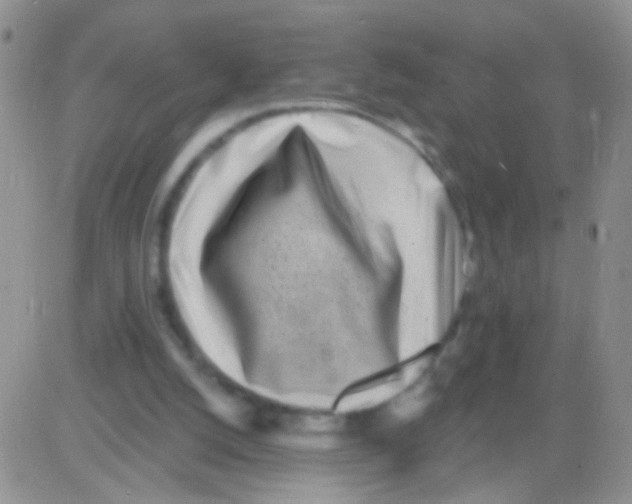 X0000082730056200702232357