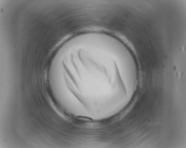 X0000082730057200702232357