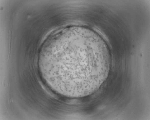 X0000082730058200702232357