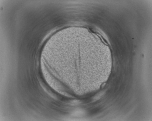 X0000082730059200702232357