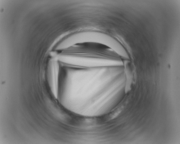 X0000082730060200702232357