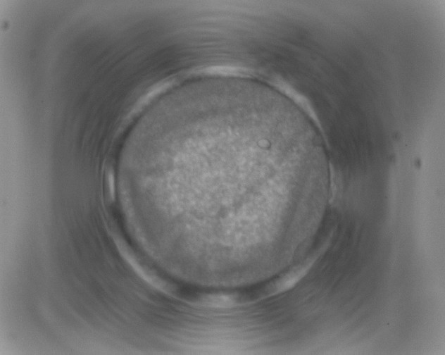 X0000082730061200702232357