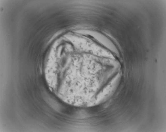 X0000082730062200702232357