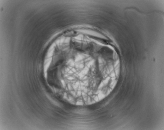 X0000082730063200702232357