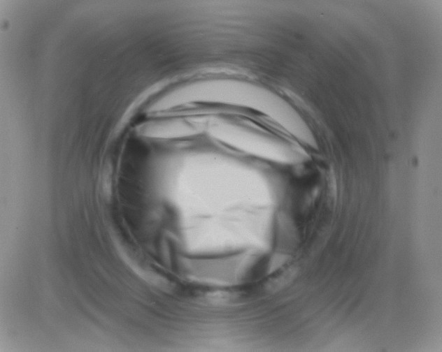 X0000082730064200702232357