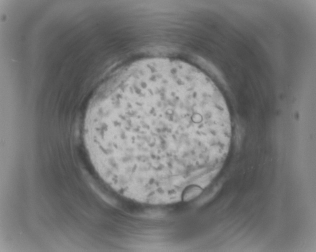 X0000082730065200702232358