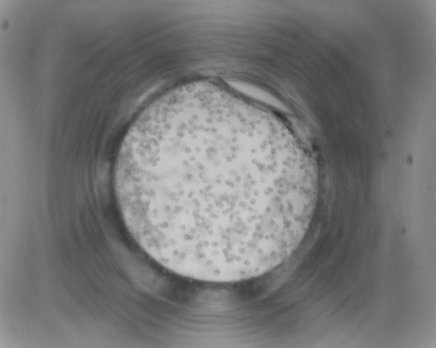 X0000082730066200702232358