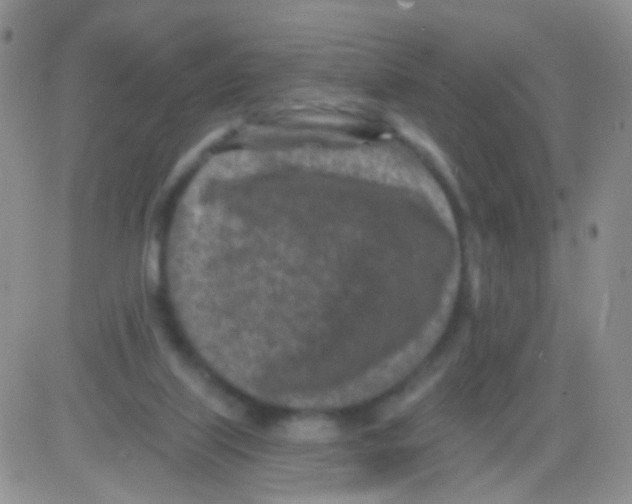 X0000082730067200702232358