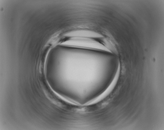 X0000082730068200702232358