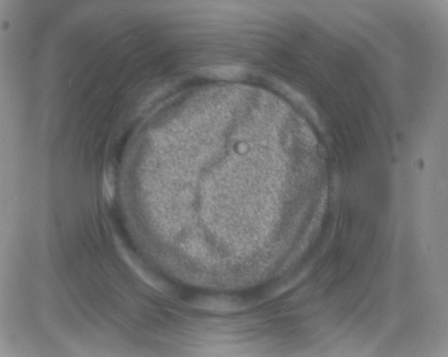 X0000082730069200702232358