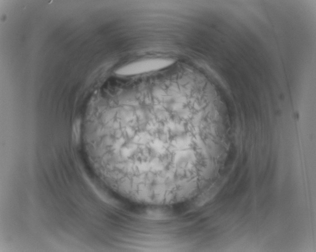 X0000082730070200702232358