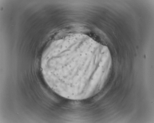 X0000082730071200702232358