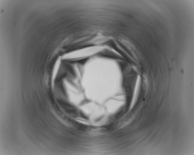 X0000082730072200702232358