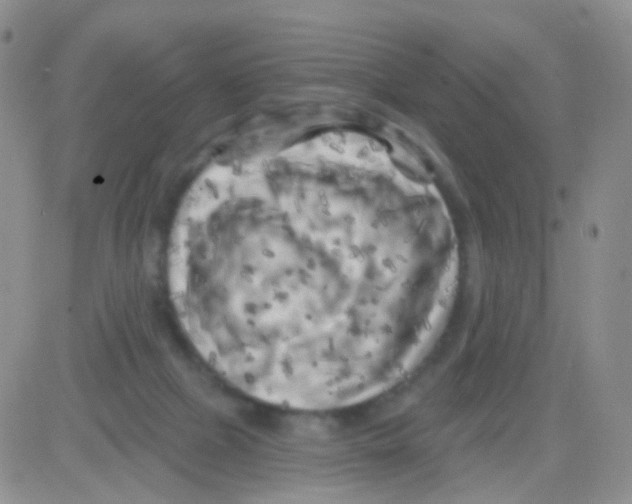 X0000082730073200702232358