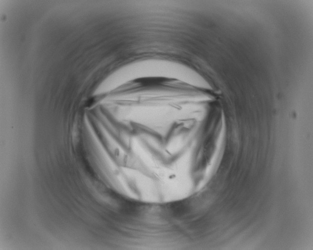 X0000082730074200702232358