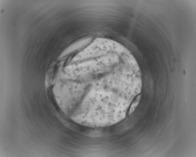 X0000082730075200702232358