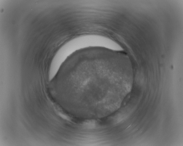 X0000082730076200702232358