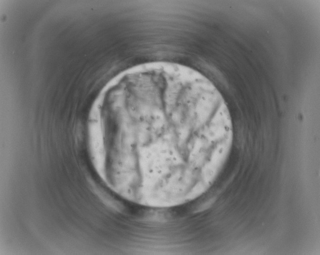 X0000082730077200702232358