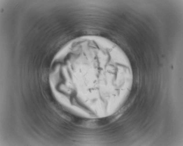 X0000082730078200702232358