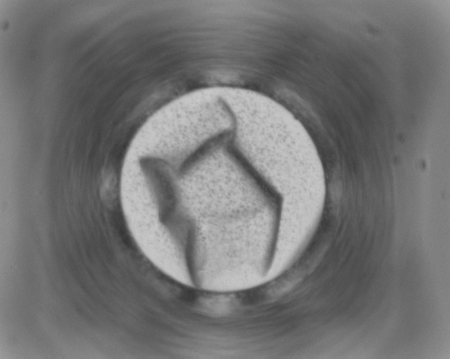 X0000082730079200702232358