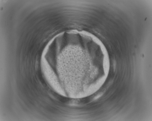 X0000082730080200702232358