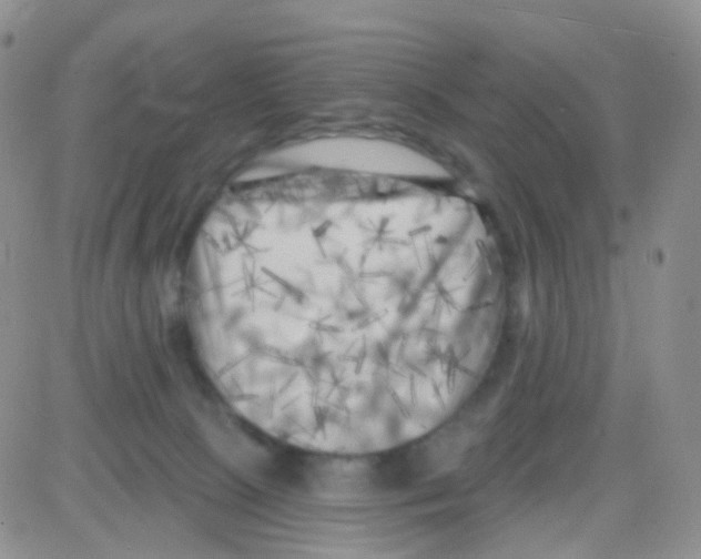 X0000082730081200702232358