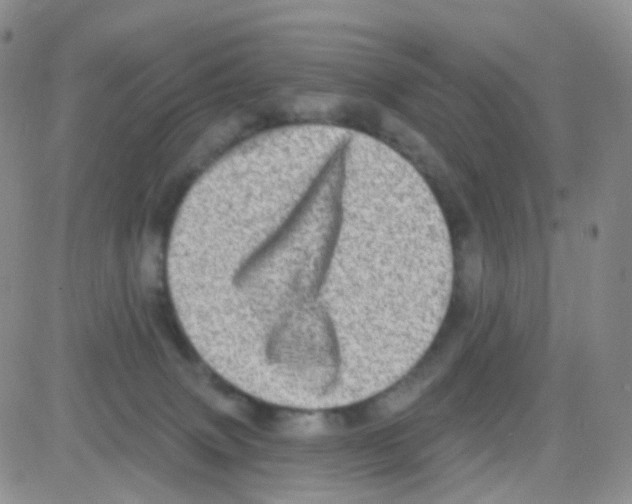 X0000082730083200702232358