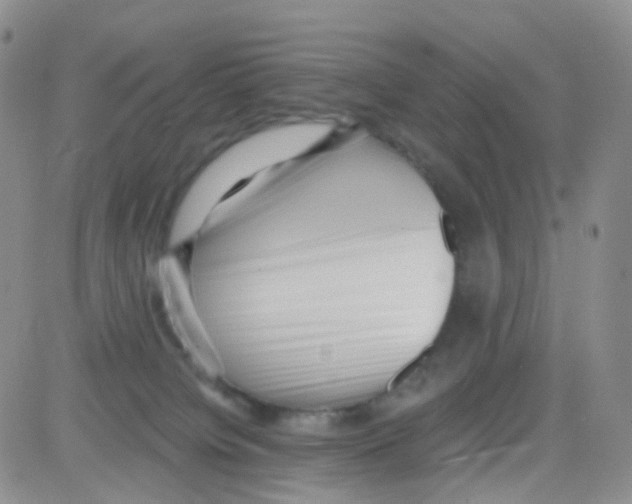 X0000082730084200702232358