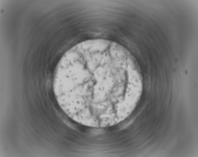 X0000082730085200702232358