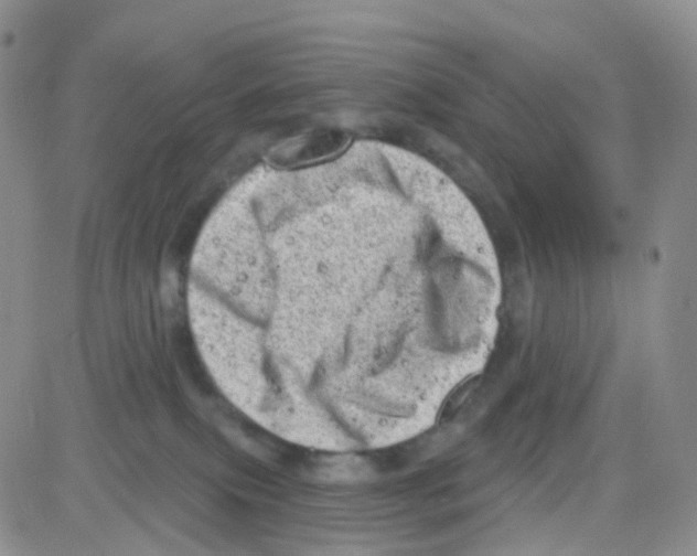 X0000082730087200702232358