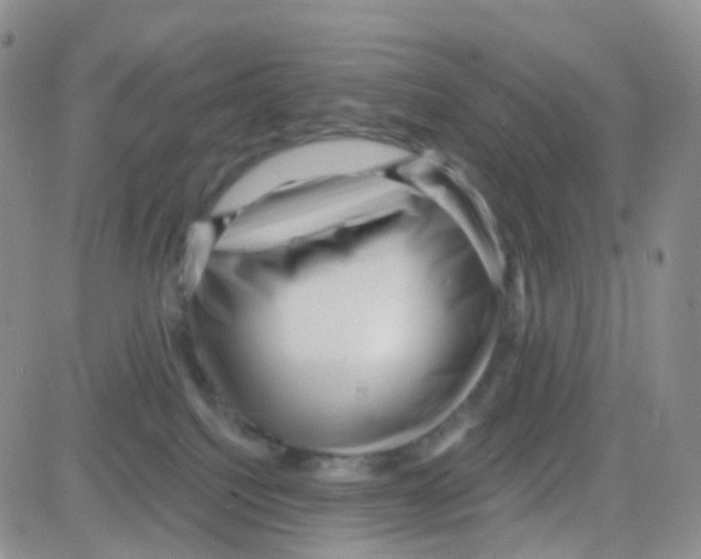 X0000082730088200702232358